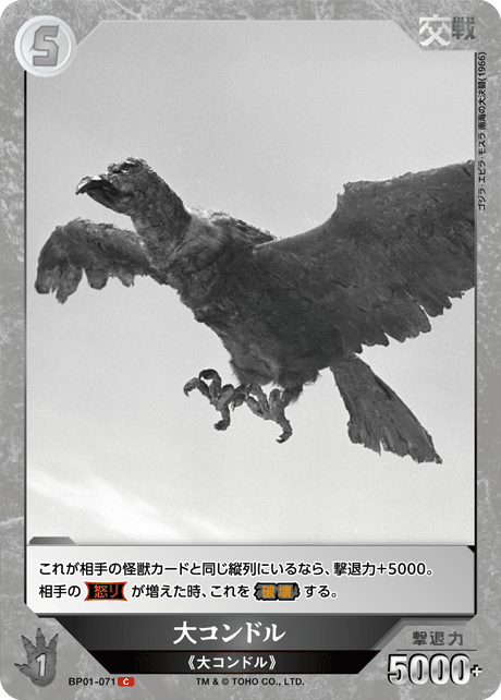 大コンドル
